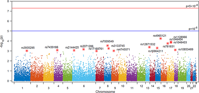 Manhattan plot of SNP association with biochemical recurrence among prostate cancer patients who underwent RP from an analysis of 242,186 single nucleotide polymorphisms using a custom HumanExome BeadChip v1.0 (Illumina Inc.).