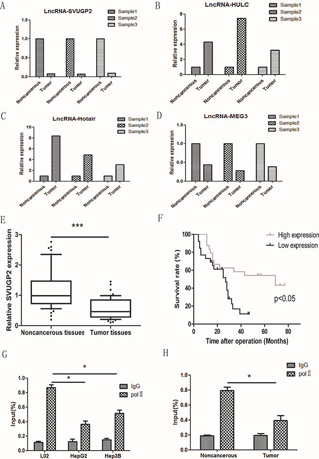 The level of lncRNA-SVUGP2 was decreased in HCC.