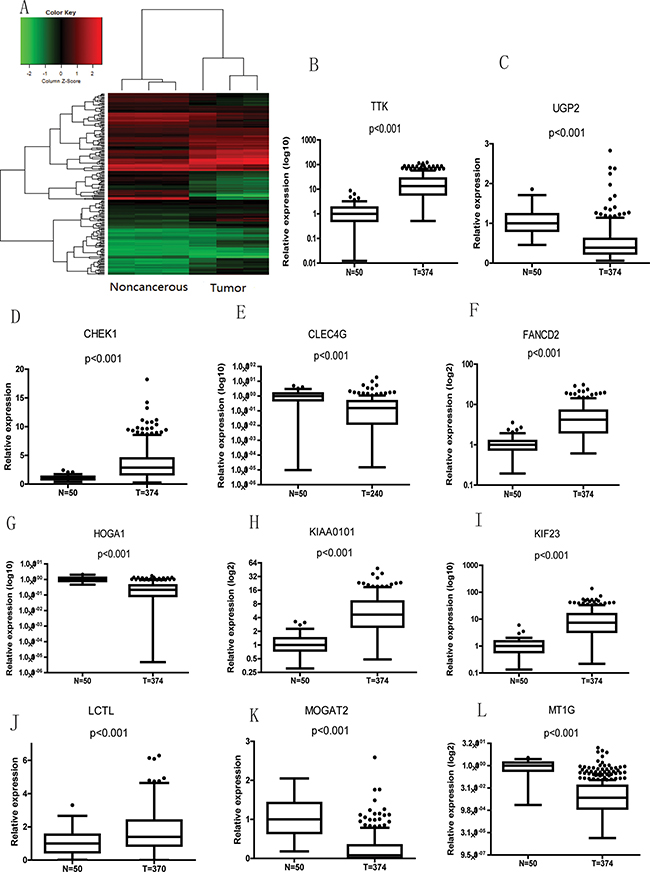 mRNAs correlate with lncRNA-SVUGP2 in noncancerous and liver cancer tissues.