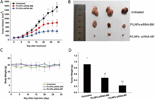 In vivo Suppression of tumor growth by various P/LNPs in HepG-2 tumor bearing BALB/C-nude mice.