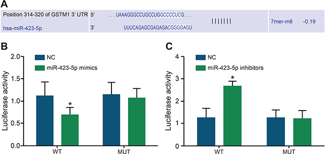 Dual luciferase assay analysis of miR-423-5p binding to GSTM1 3&#x2032;UTR.