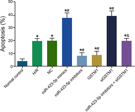 Analysis of cellular apoptosis in hypoxia/reoxygenation induced HK-2 cells.