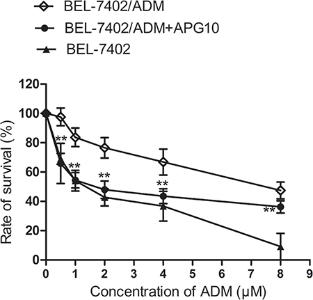 Effects of APG on ADM-induced cytotoxicity in BEL-7402/ADM cells.