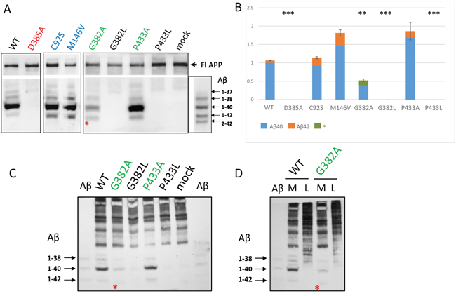 Detection of secreted A&beta; peptides in cell culture medium in PSEN1-/-/PSEN2-/- MEF cells co-transfected with wild type or mutant PSEN1 and APP695&Delta;NL.