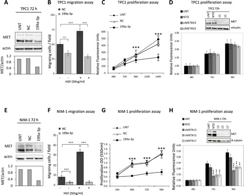 Functional effects of miR-199-a-3p restoration and MET silencing in TPC1 and NIM-1 cells.