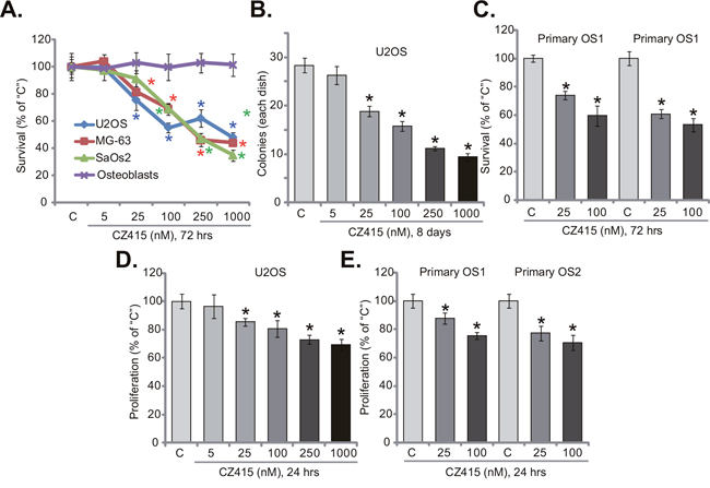 CZ415 is anti-survival and anti-proliferative to human OS cells.