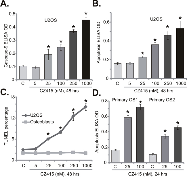 CZ415 provokes apoptosis in OS cells.