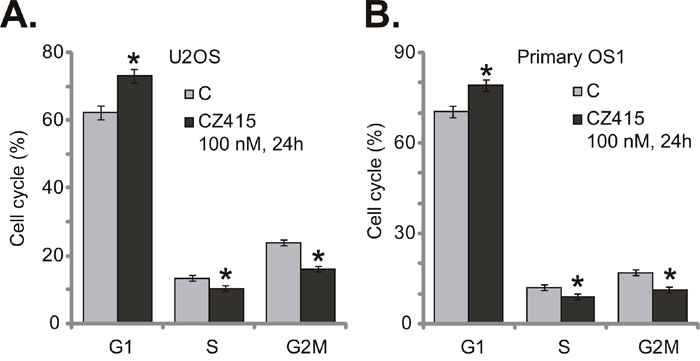 CZ415 disrupts OS cell cycle progression, causing G1-S arrest.