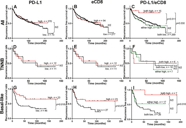 Prognostic impact of PD-L1 and CD8 in breast cancer.