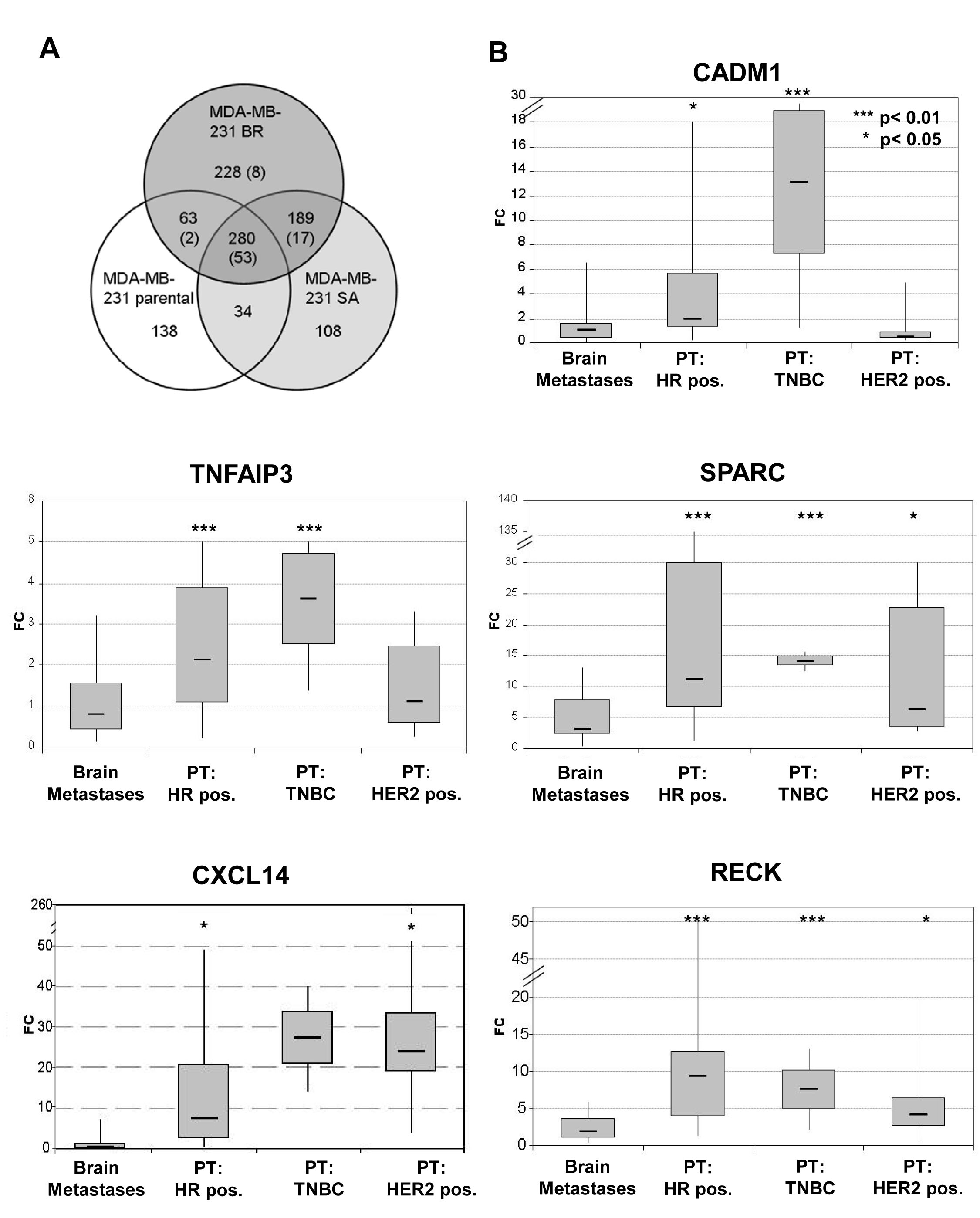 Figure 1:A) Gene expression changes in response to 5-Aza-2&#x2019;-deoxycytidine treatment in parental MDA-MB-231 breast cancer cell line and MDA-MB-231 BR and MDA-MB-231 SA variants.