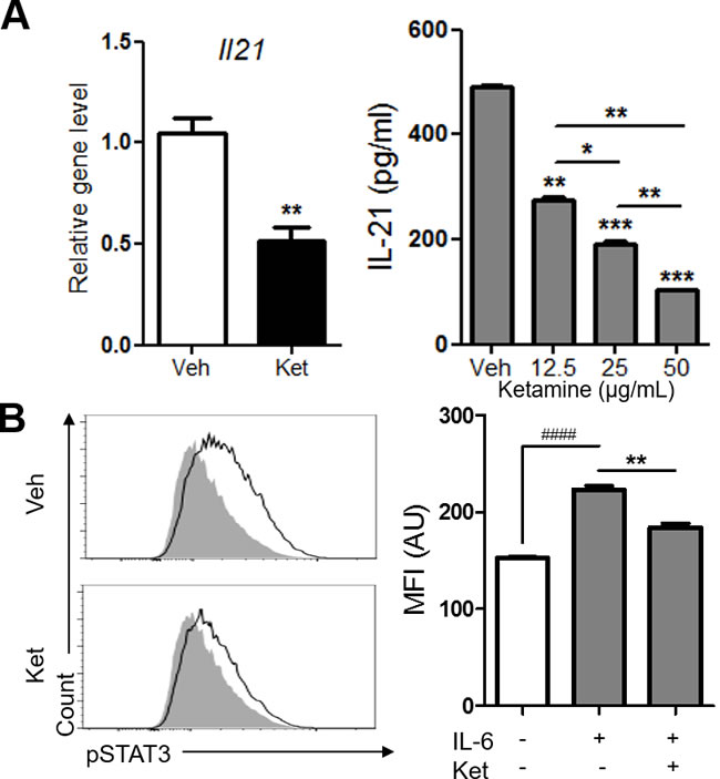 Ketamine negatively regulates the expression of IL-21 and the phosphorylation of STAT3 during Th17 cell differentiation.