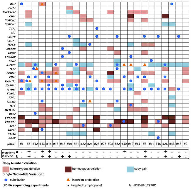 Mutational profile of tumor genomic alterations per patient (n=25).