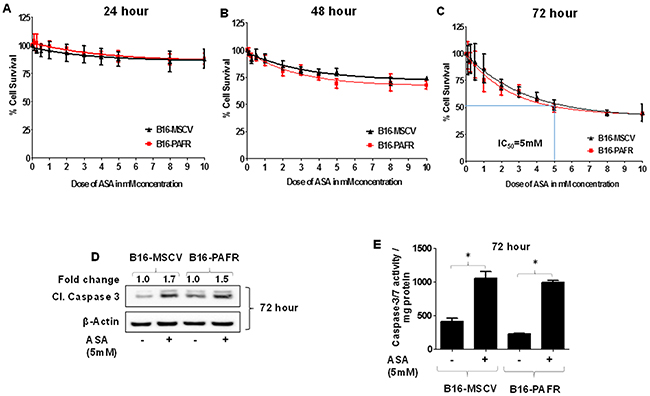Effect of aspirin treatment on the growth of B16F10 melanoma cells expressing or deficient in PAF-R.
