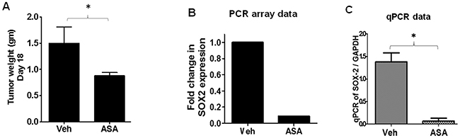 PCR array and qRT-PCR analysis of B16-tumors from vehicle and ASA-treated WT mice.