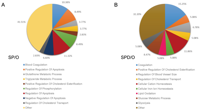 Functional classification of SP- and SPD-regulated proteins in aged rat hearts.