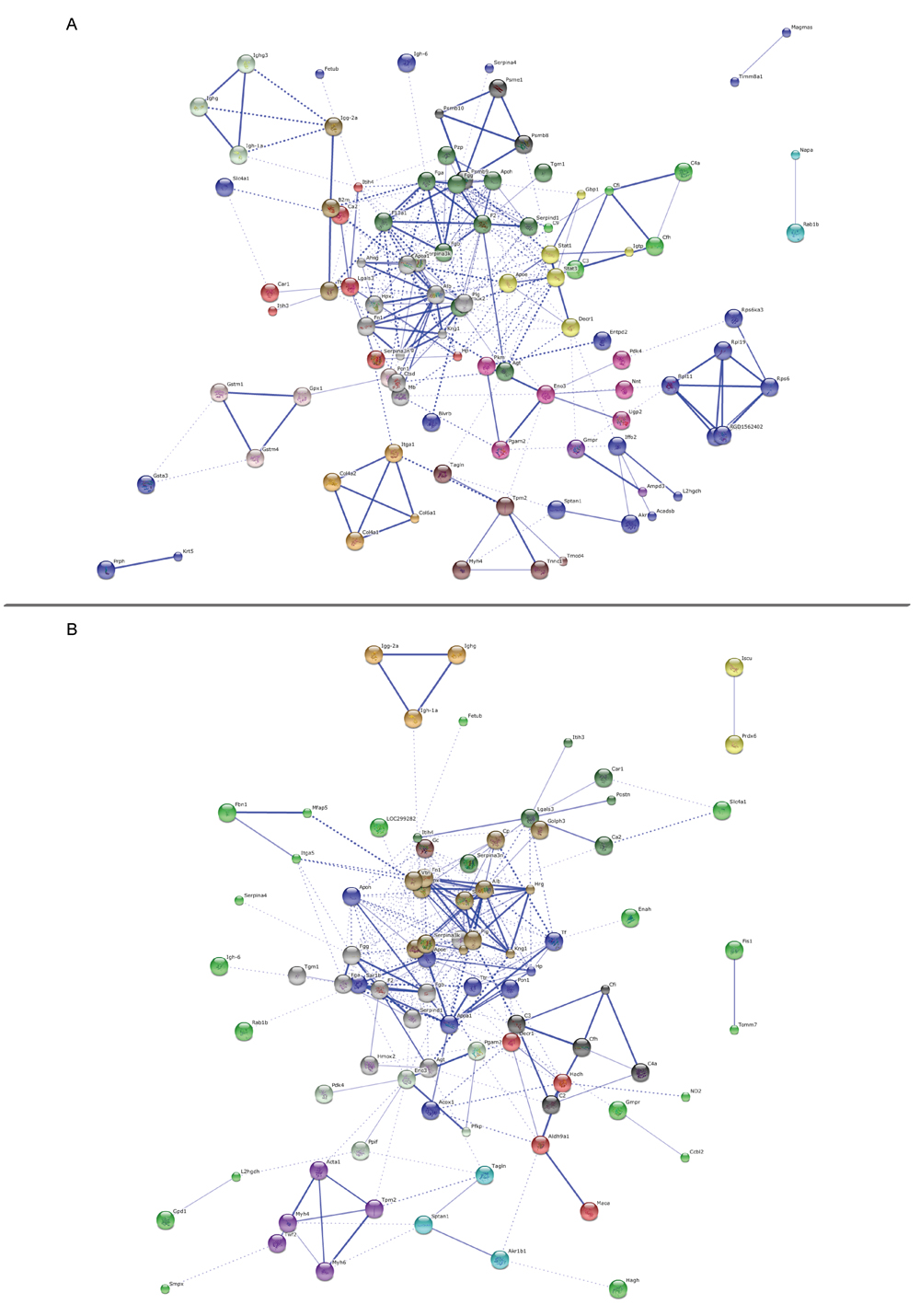 Protein-protein interaction networks.
