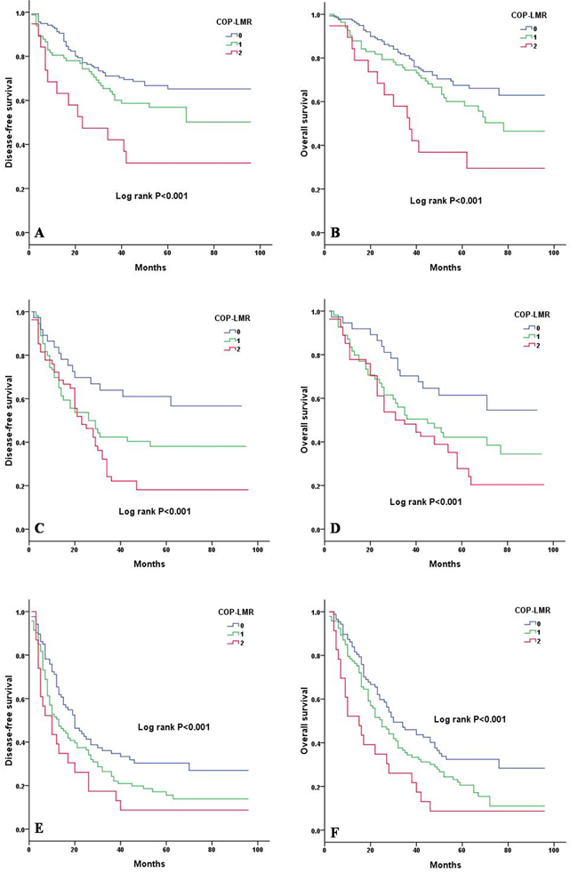 Kaplan-Meier curves of stage I, II and IIIA NSCLC patients according to COP-LMR levels.