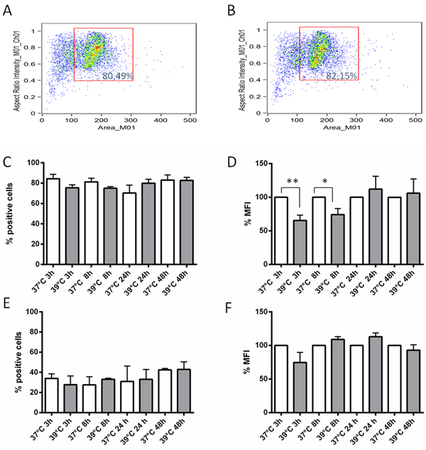 Expression levels of IGFBP-6 in DCs in presence or absence of permeabilization.