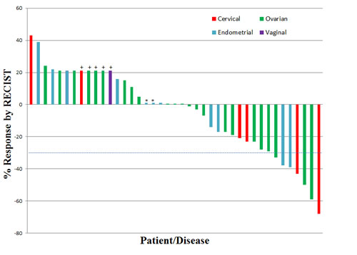 Waterfall Plot Depicting Best RECIST Response by Patient.