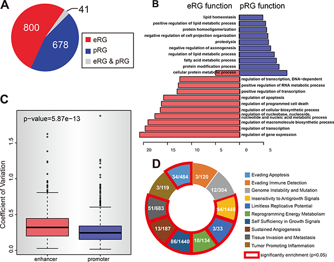 The divergent pattern of enhancer and promoter methylation in repressing gene expression.