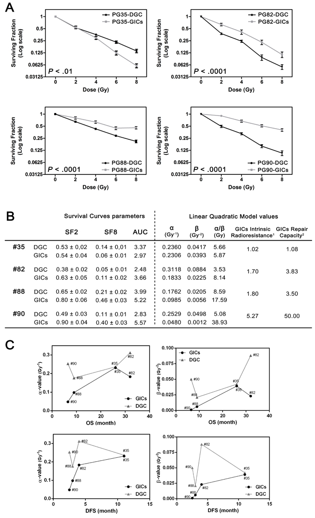 GICs exhibited higher radioresistance compared to DGC.