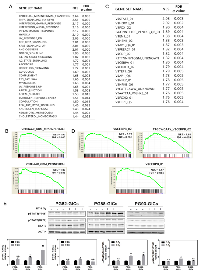 Transcriptomic analysis of radioresistant PG35-GICs-R.