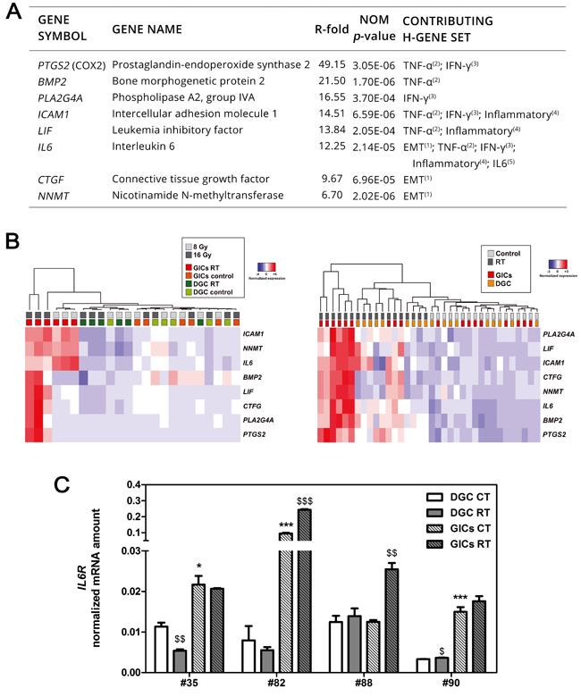 PMT and inflammation are preferentially activated in GICs following RT and correlate with patient outcomes.