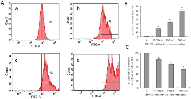 Quantified positron-induced the ROS generation and &#x0394;&#x03A8;m variation by flow cytometry in SW1990 pancreatic cancer cells.
