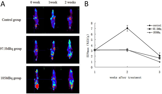 The baseline and follow-up microPET image of the tumor-burden mice in all groups.