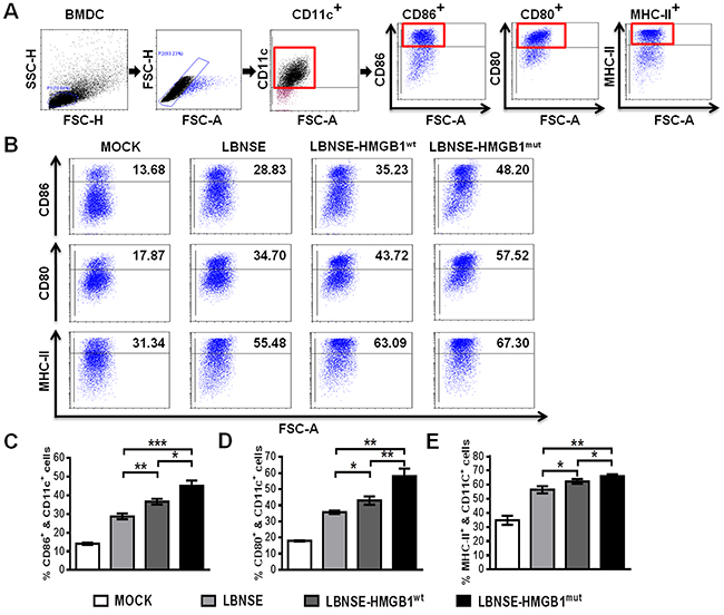 Activation of BMDCs in vitro after infection with different rRABVs.