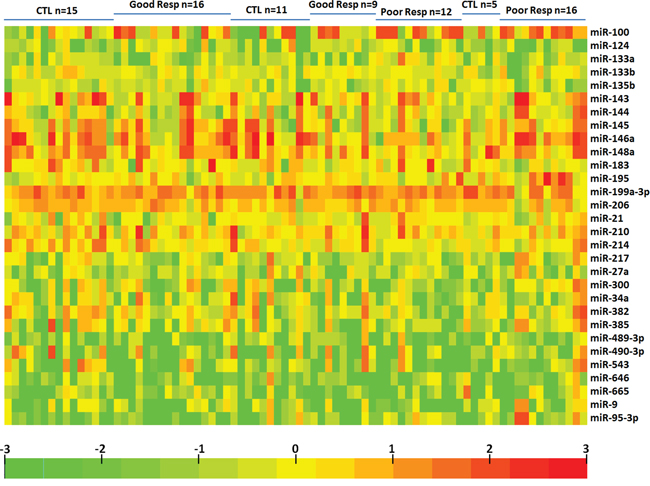 Heatmap of exosomal differential miRNA profiles in osteosarcoma patients with different chemotherapeutic responses.
