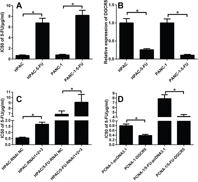 DGCR5 is negatively correlated with the response of PDAC cells to 5-FU.