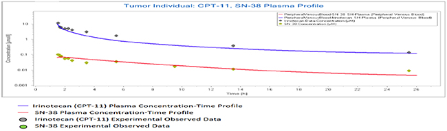 Population simulation result in PK-Sim.