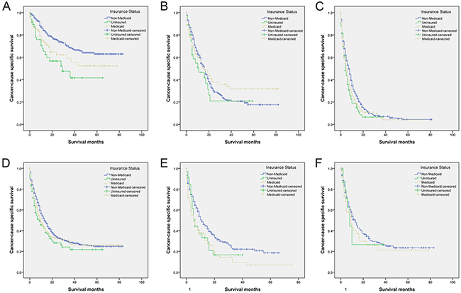 Survival curves in gallbladder cancer patients according to insurance status.