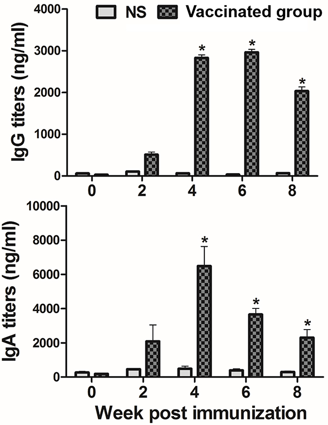 Serum IgG (I) and vaginal wash secretory IgA (II) titers against S. Typhi OMP in the subcutaneously immunized mice by ELISA analysis.