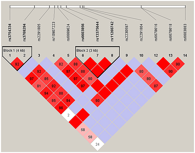 Haplotype block map for the fourteen EPHA2 SNPs genotype in this study.