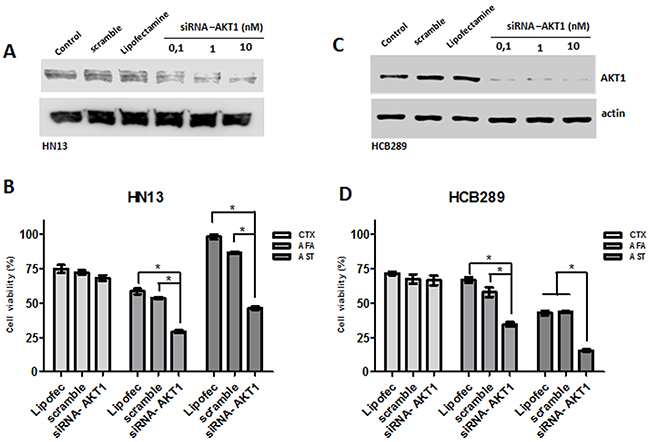 Role of AKT knockdown in cetuximab (CTX) and afatinib (AFA) and allitinib (AST) response in HN13 and HCB289 cell lines.