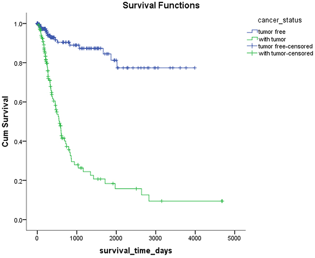 Kaplan-Meier survival plots according to the tumor status.