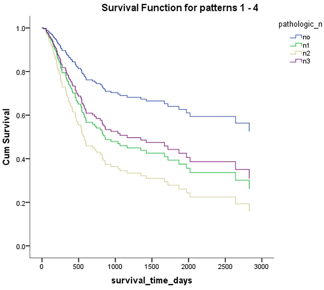 Overall survival according to pathological lymph node metastasis.