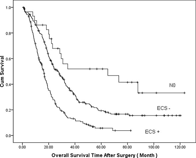 Comparison of cumulative survival based on lymph node status (P = 0.000, log-rank test).
