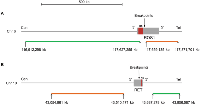 Figure 1: