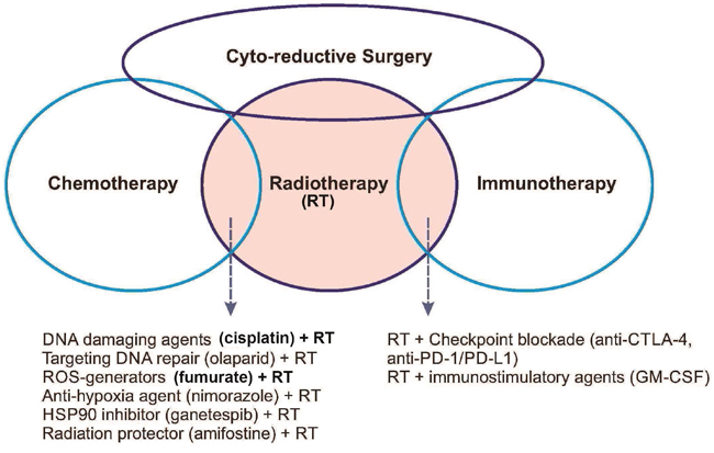 Schematic diagram showing the interrelationships among the four pillars of current cancer therapy, i.e., cyto-reductive surgery, chemotherapy, radiotherapy, and immunotherapy.