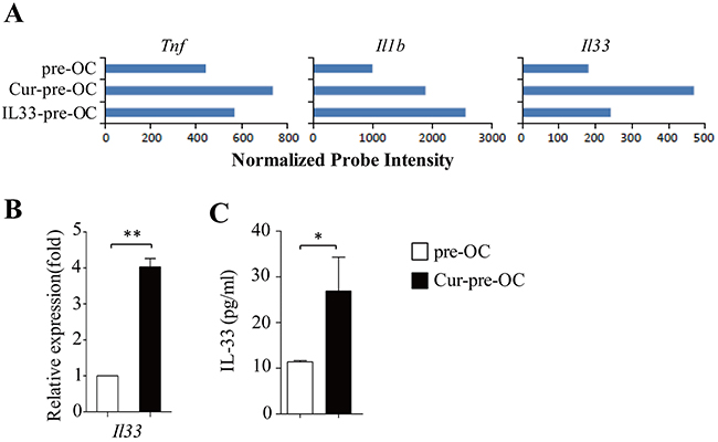 Dectin-1 stimulates IL-33 expression in OC progenitors.