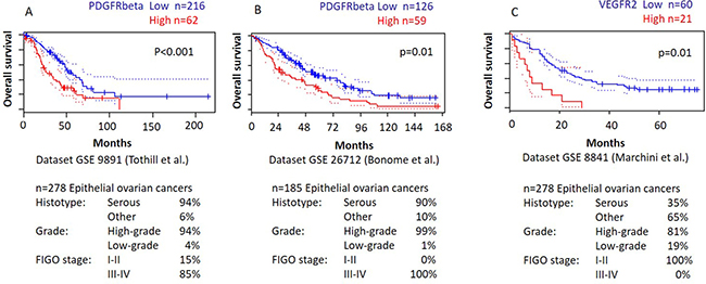 Higher PDGFR&#x03B2; and VEGFR2 gene expression is associated with shorter overall survival in publicly available microarray datasets of ovarian cancer.