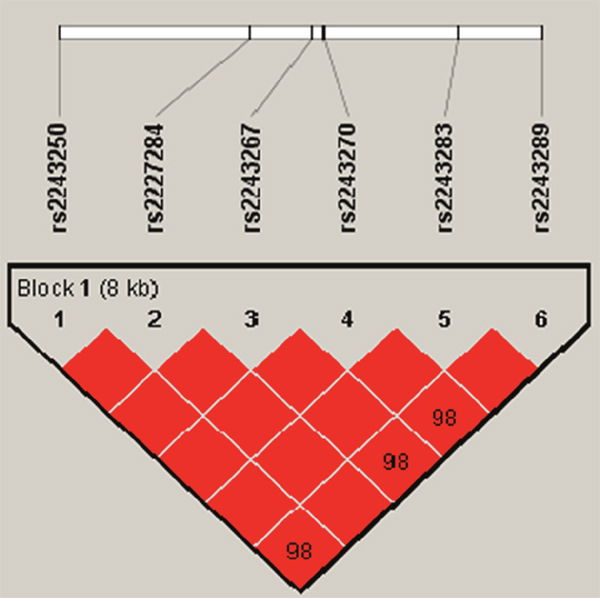 Haplotype block map for the IL-4SNPs genotyped in this study.