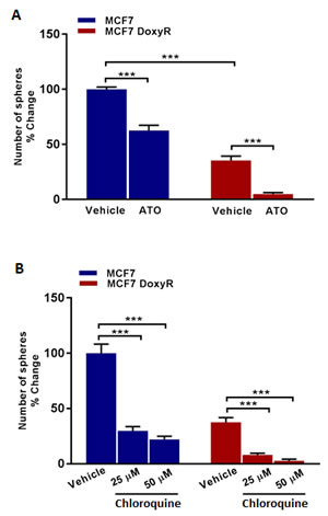 Mammosphere formation is inhibited in MCF7 DoxyR cells: Targeting DoxyR cells with Atovaquone and Chloroquine.