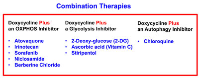 Metabolic inhibitors successfully employed for the eradication of DoxyR CSCs.