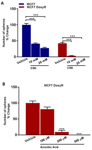 Glycolysis inhibitors reduce mammosphere formation in MCF7 DoxyR cells.