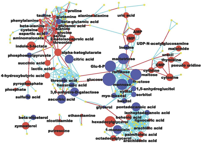 Metabolomic network of biochemical differences between hyperplastic Zn-deficient and Zn-sufficient esophagus.