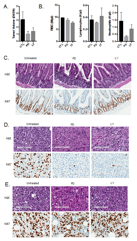 Figure 5: